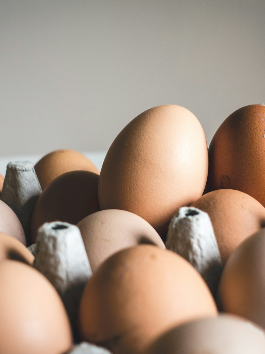 Dairy and eggs