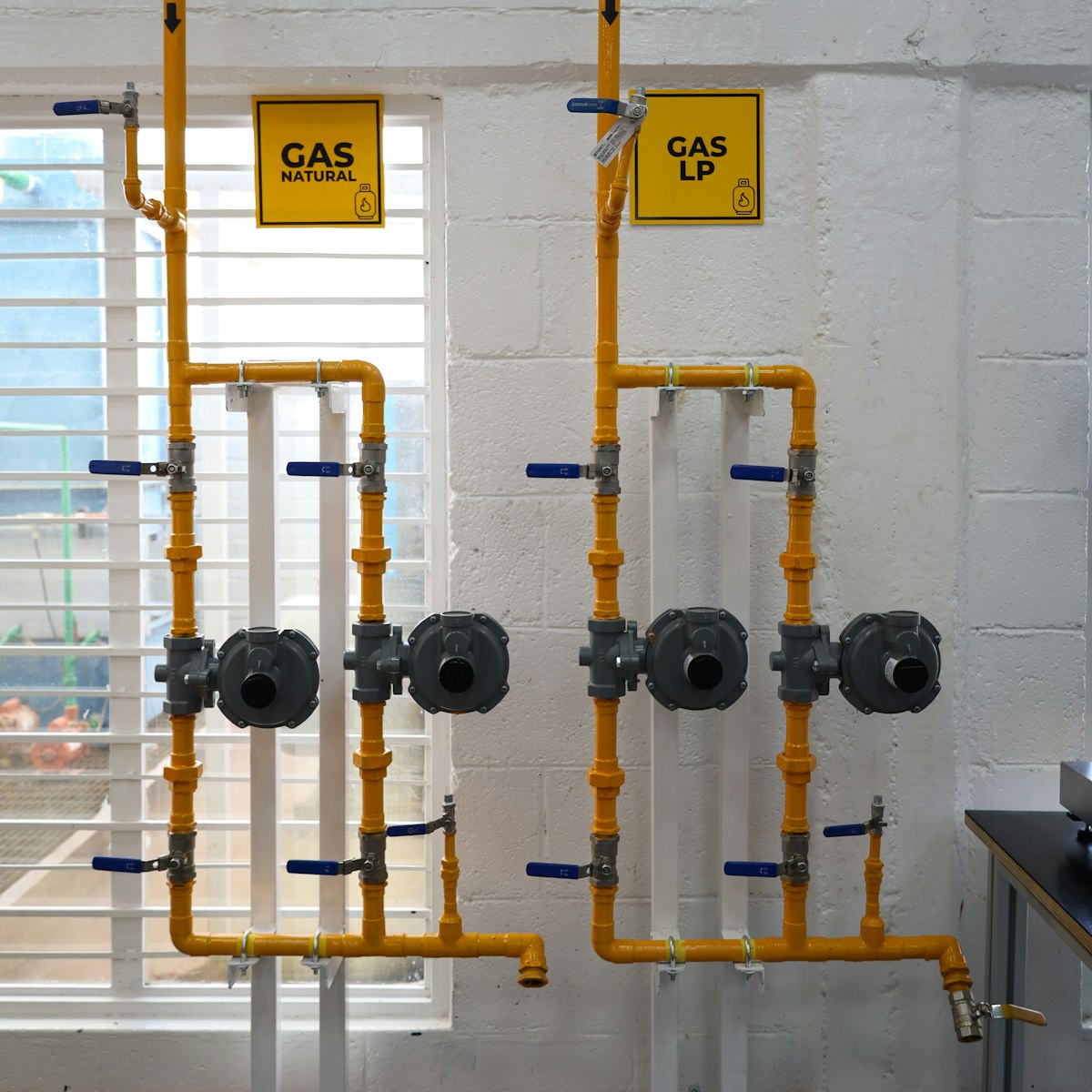 Gas regulator and hose set