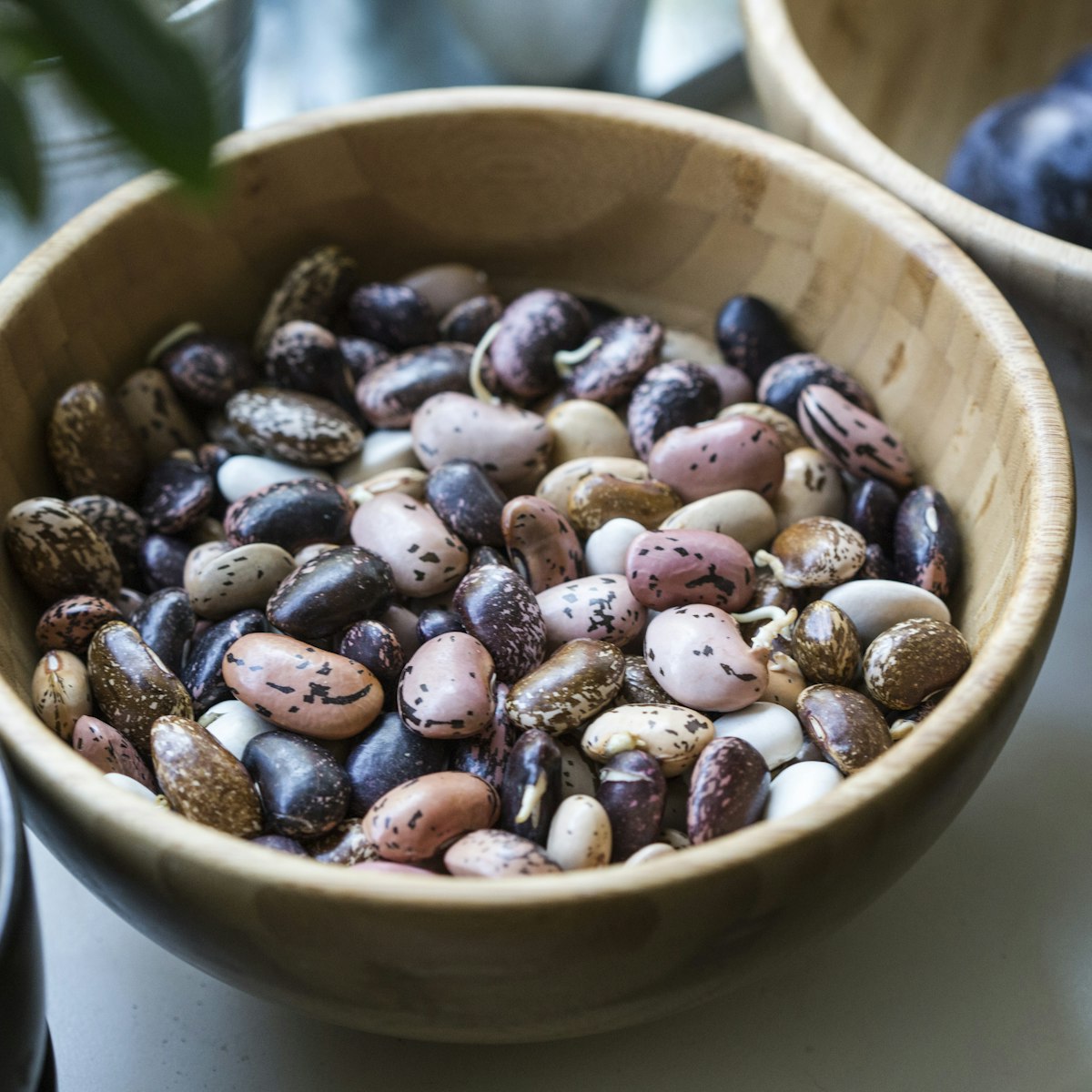 Brown beans
