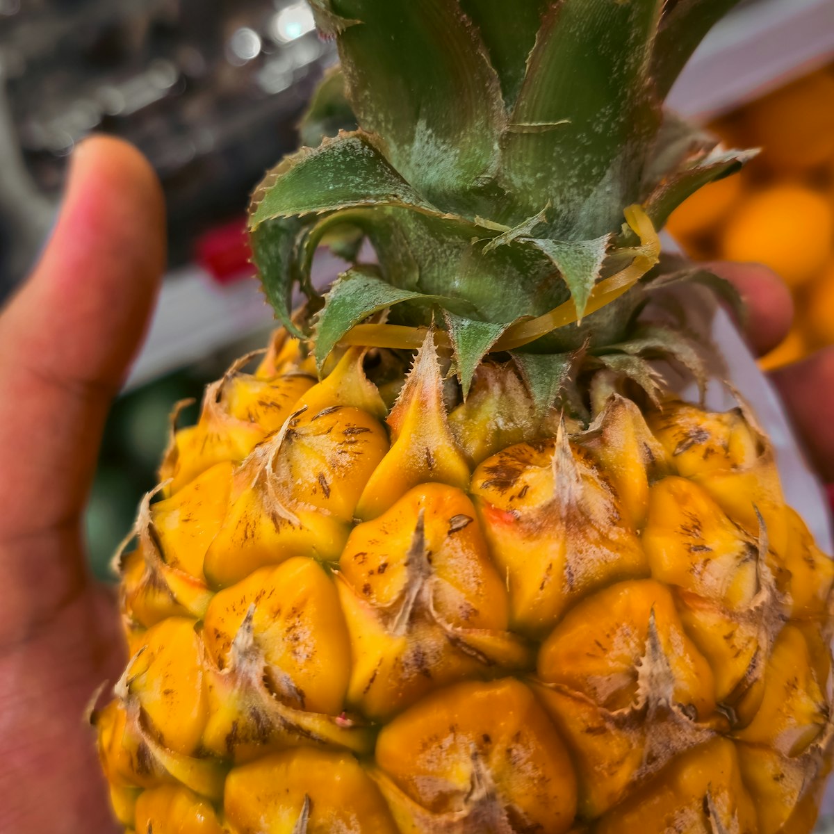 Pineapple