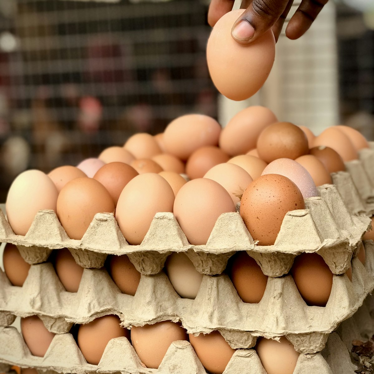 Eggs, crate of 30