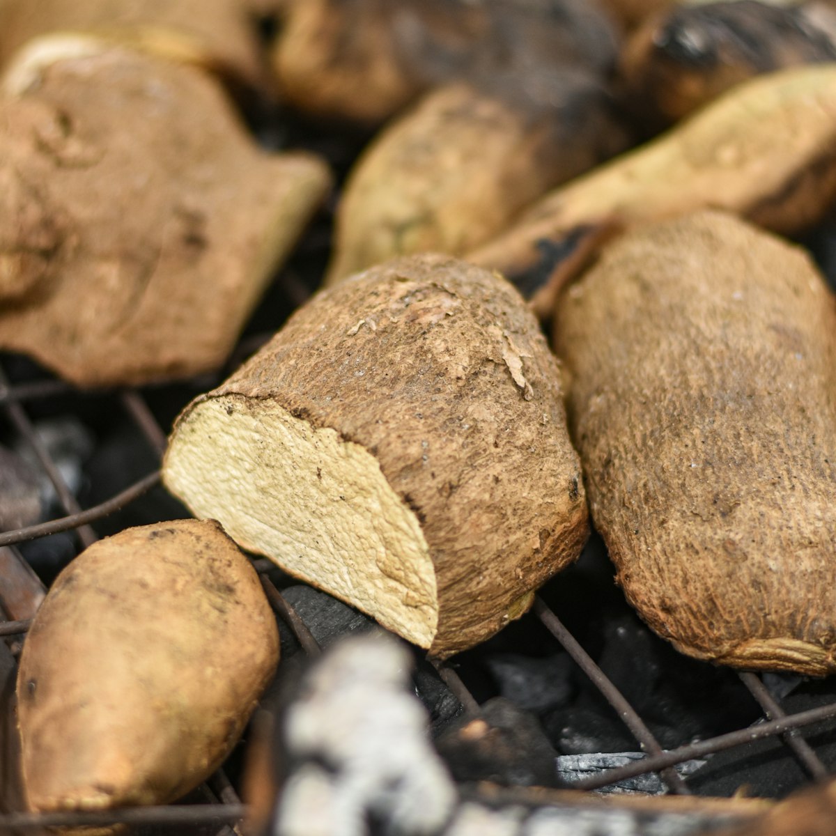 Yam tuber
