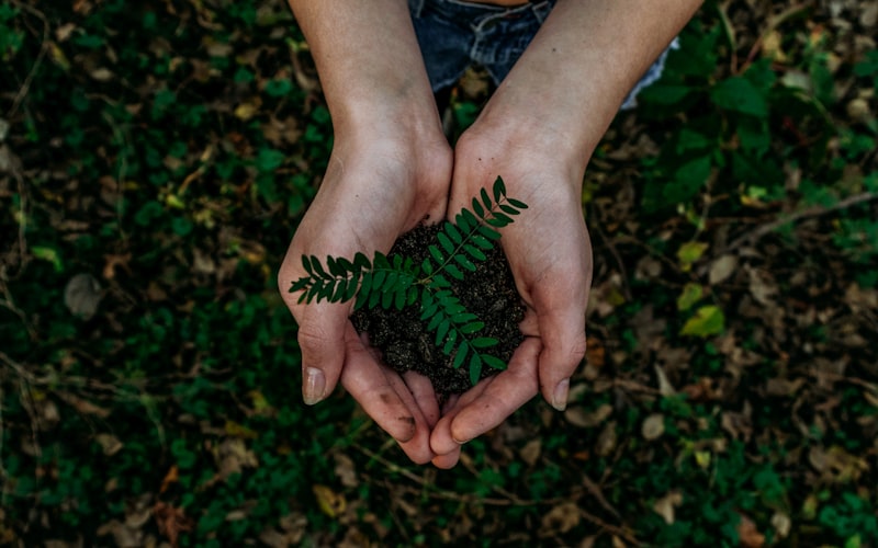 A Beginner's Guide to Sustainable Living in Nigeria