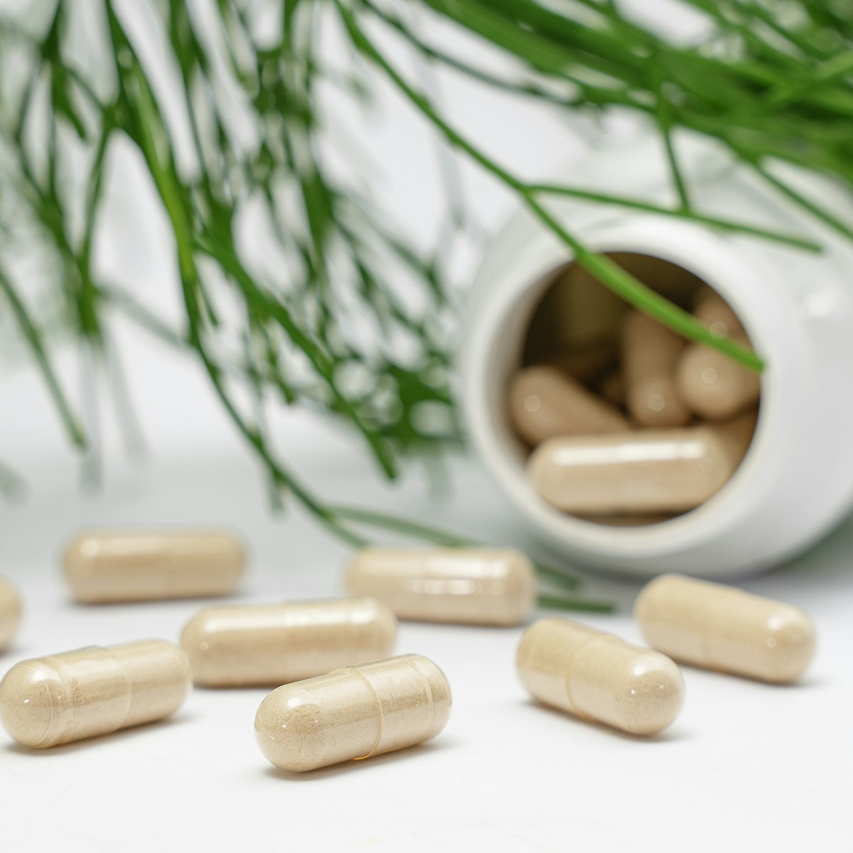Plant capsules