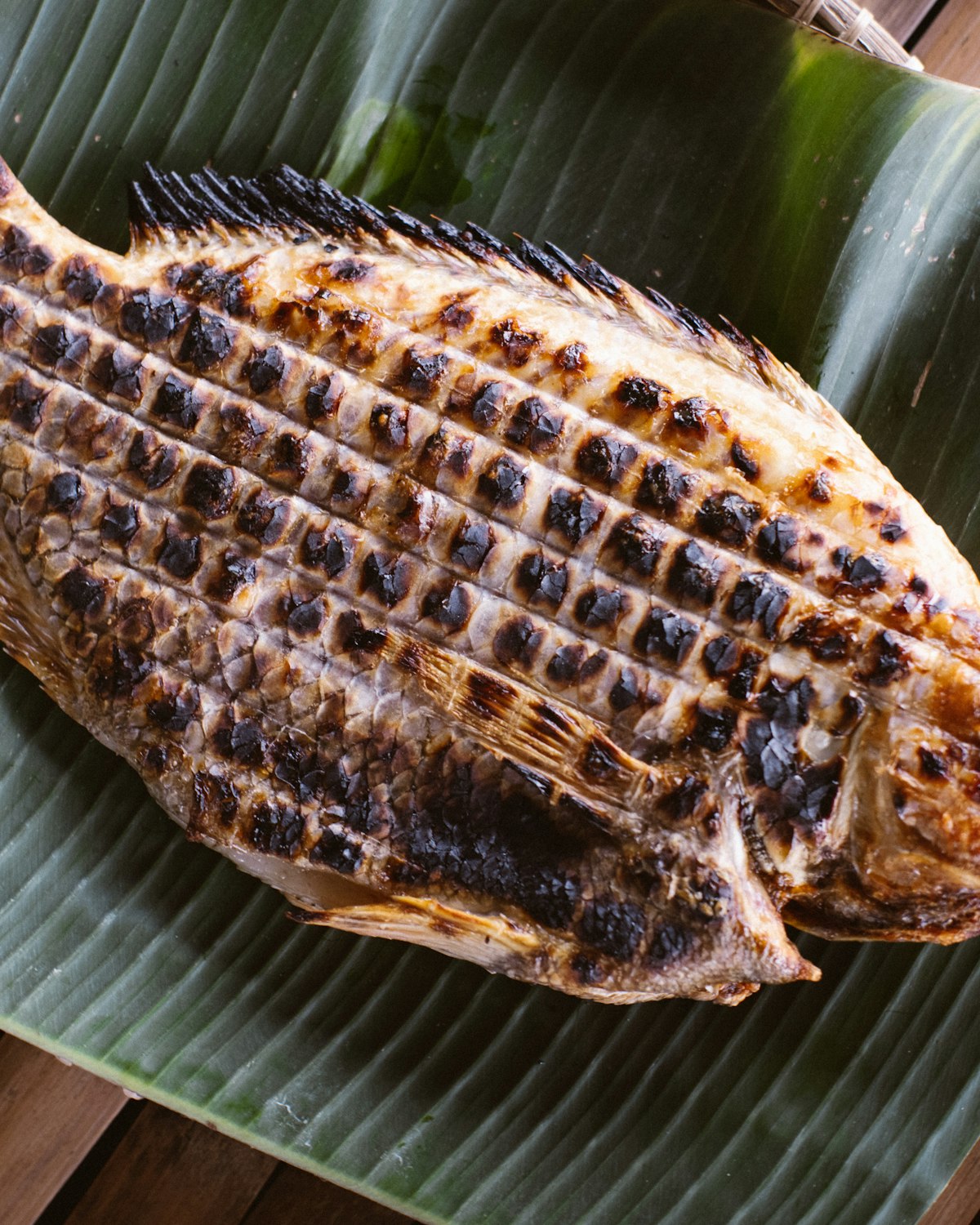 Grilled Whole Fish
